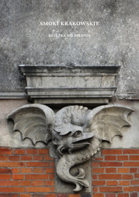 Smoki krakowskie. Książka do pisania - Karolina Grodziska - książka