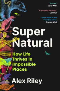 Super Natural - Riley Alex - ebook
