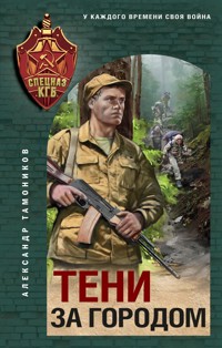 Тени за городом - Александр Тамоников - ebook
