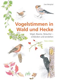 Vogelstimmen in Wald und Hecke - Uwe Westphal - ebook