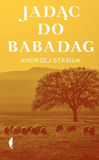 Okładka książki Jadąc do Babadag