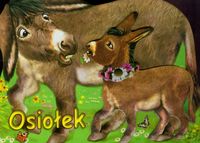 Osiołek - Wejner Rafał - książka