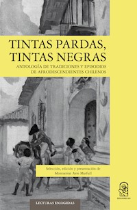 Tintas pardas, tintas negras - Montserrat Arre Marfull - ebook