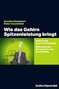 Wie das Gehirn Spitzenleistung bringt - Karolien Notebaert - ebook