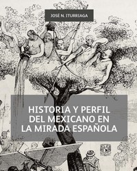Historia y perfil del mexicano en la mirada española - José N. Iturriaga de la Fuente - ebook