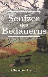 Seufzer des Bedauerns - Christin David - ebook