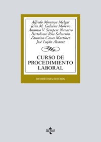 Curso de procedimiento laboral - Alfredo Montoya Melgar - ebook