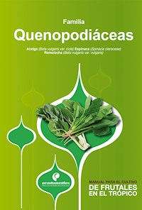Manual para el cultivo de hortalizas. Familia Quenopodiáceas - Hernán Pinzón Ramírez - ebook