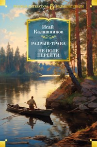 Разрыв-трава. Не поле перейти - Исай Калашников - ebook