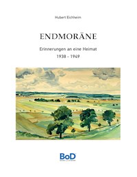 Endmoräne - Hubert Eichheim - ebook