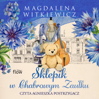 Sklepik w chabrowym zaułku - Magdalena Witkiewicz - ebook + audiobook + książka