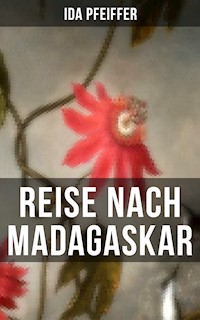 Reise nach Madagaskar - Ida Pfeiffer - ebook