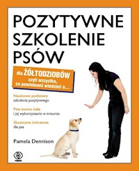 Pozytywne szkolenie psów dla żółtodziobów - Dennison Pamela - książka