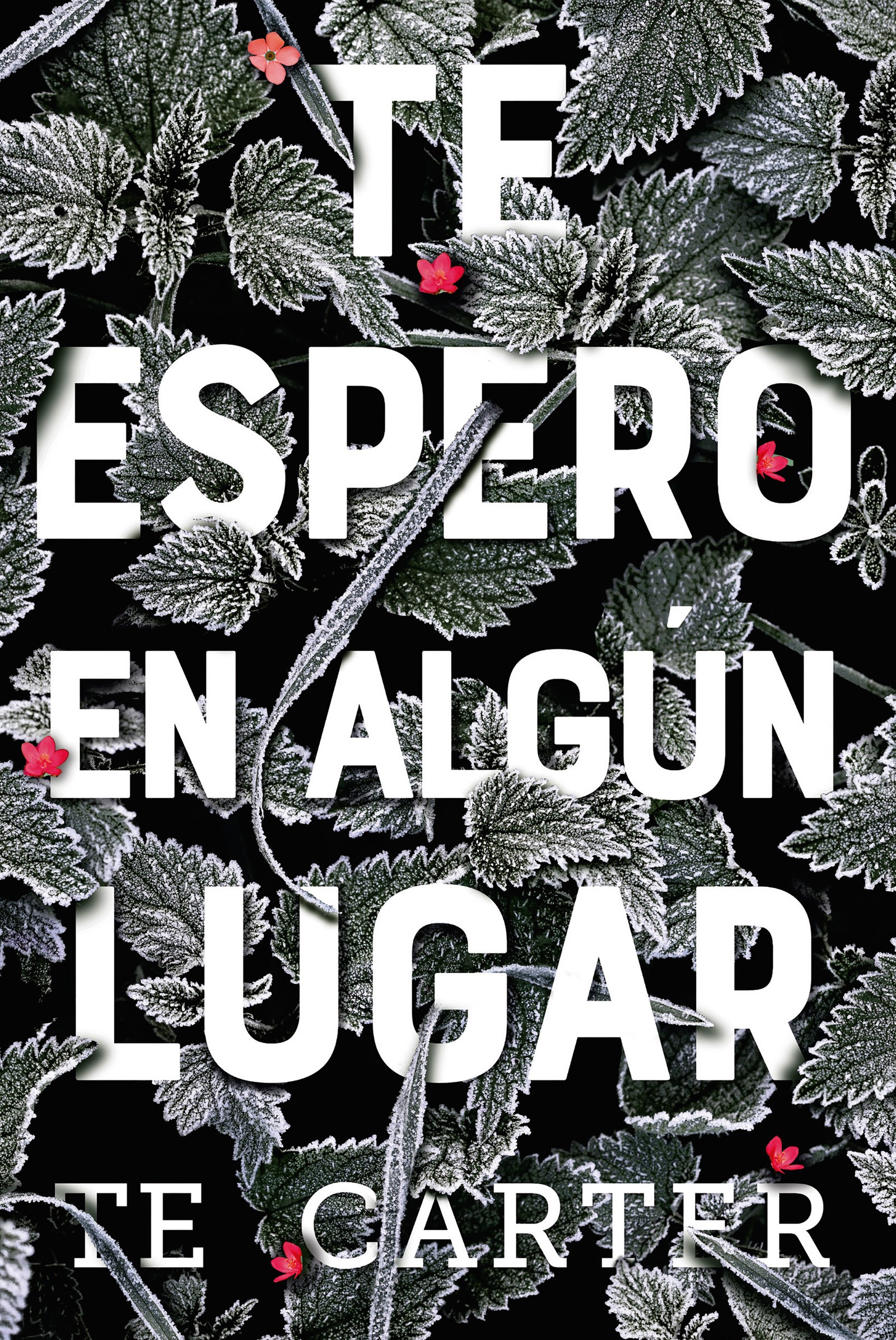 Te espero en algún lugar