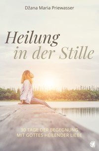 Heilung in der Stille - Džana Maria Priewasser - ebook