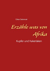 Erzähle was von Afrika - Oskar Steinmair - ebook