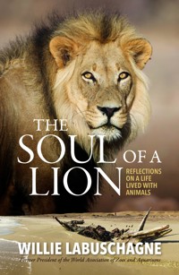 The Soul of a Lion - Willie Labuschagne - ebook