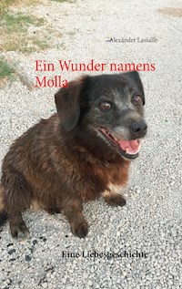 Ein Wunder namens Molla - Alexander Lassalle - ebook