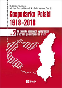 Gospodarka Polski 1918-2018. W kierunku godziwych wynagrodzeń i wzrostu produktywności pracy. Tom 2 - Michał Gabriel Woźniak, Mieczysław Dobija - książka