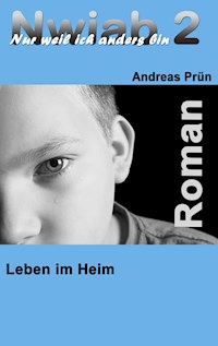 Nwiab 2 - Andreas Prün - ebook
