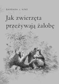 Jak zwierzęta przeżywają żałobę - King Barbara J. - książka