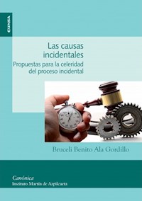 Las causas incidentales - Bruceli Benito Ala Gordillo - ebook