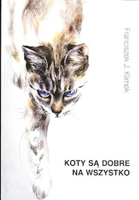 Koty są dobre na wszystko - Klimek Franciszek J. - książka