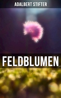 Feldblumen - Adalbert  Stifter - ebook