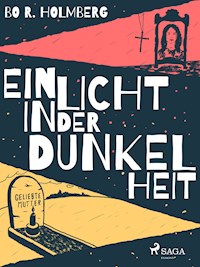 Ein Licht in der Dunkelheit - Bo R. Holmberg - ebook