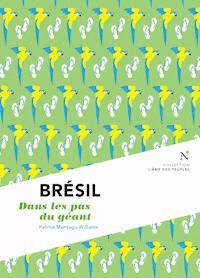 Brésil : Dans les pas du géant - Patrice Montagu-Williams - ebook