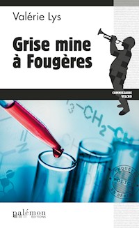 Grise mine à Fougères - Valérie Lys - ebook