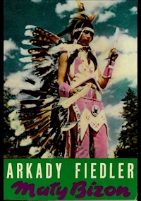 Mały Bizon - Arkady Fiedler - ebook