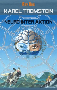 Karel Tromstein - Ray Bec - ebook