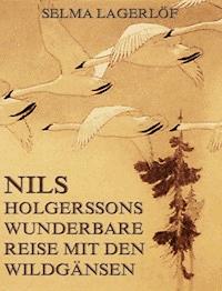 Nils Holgerssons wunderbare Reise mit den Wildgänsen - Lagerlof Selma - ebook