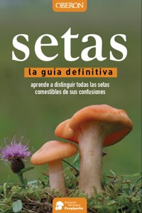 Setas - Aitor Calvo Pérez - ebook