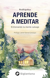 Aprender a meditar - Bodhipaksa - ebook