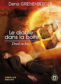 Le diable dans la boite - Denis Grienenberger - ebook