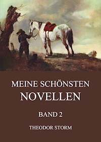 Meine schönsten Novellen, Band 2 - Theodor  Storm - ebook