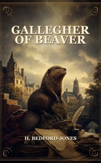 Gallegher of Beaver - Bedford-Jones H. - ebook
