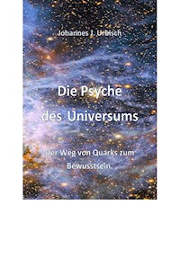 Die Psyche des Universums - Johannes J. Urbisch - ebook