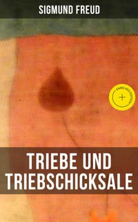 Triebe und Triebschicksale - Sigmund Freud - ebook