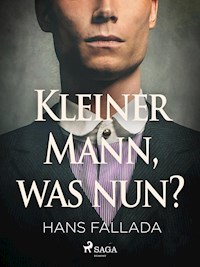 Kleiner Mann, was nun? - Hans Fallada - ebook