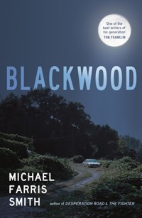 Blackwood - Michael Farris Smith - ebook