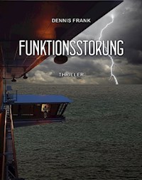 Funktionsstörung - Dennis Frank - ebook