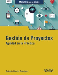 Gestión de Proyectos. Agilidad en la Práctica - Antonio Martel - ebook