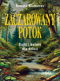 Zaczarowany potok - Renata Klamerus - książka