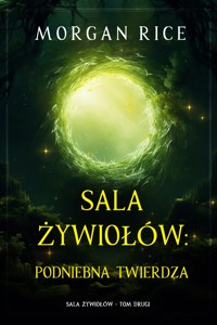 Sala żywiołów: Podniebna twierdza (Sala żywiołów - Tom drugi) - Rice Morgan - ebook