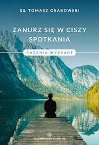 Zanurz się w ciszy spotkania. Kazania wybrane - ks. Tomasz Grabowski - ebook