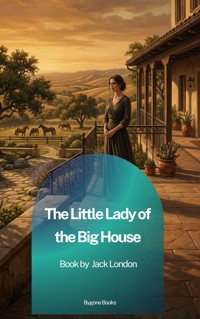 The Little Lady of the Big House - Jack London - ebook