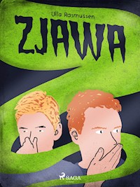 Zjawa - Ulla Rasmussen - ebook + audiobook